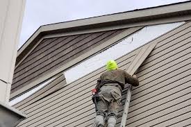 Best Residential Vinyl Siding Installation  in Midway South, TX